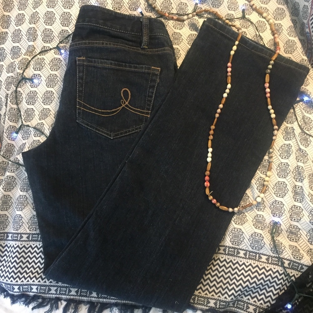 Anne Taylor Loft Original Boot Cut Jeans